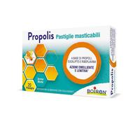 BOIRON Srl PROPOLIS PASTIGLIE MENTA 20 G