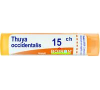 boiron Thuya occident 15ch gr bo