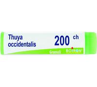 boiron Thuya occident 200ch gl bo