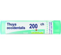 boiron Thuya occident 200ch gr bo