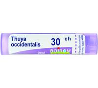 boiron Thuya occident 30ch gr bo