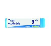 Thuya Occidentalis 9Ch Globuli Monodose Boiron