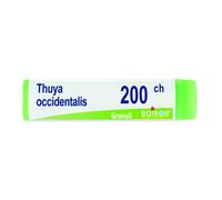 BOIRON® Thuya occidentalis 200ch Monodose 1 g Globuli