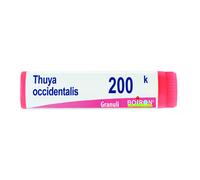 BOIRON® Thuya Occidentalis 200K Globuli 1 g Globuli