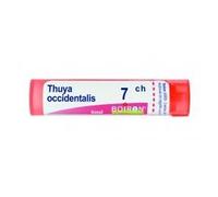 Boiron Thuya Occidentalis 7CH Granuli Tubo