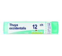 Boiron Thuya Occidentalis Granuli 12Ch Tubo 4g
