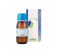 Boiron Vitis Vinifera Gemme 1 DH Macerato Glicerico, 60ml