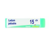 BoironLedum Palustre 15CH Globuli Tubo