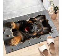 boiszeda Tappeto 3D per Tutte le Stanze con Illusioni Ottiche e Superficie in Velluto Cristallo Accogliente