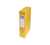 Boite de classement exabox en carte lustree nature future - dos de 60mm - 24x32cm pour a4