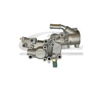Boitier Termostato Acqua 3RG INDUSTRIAL Per Peugeot 206 206+ 207