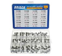 BOJACK 12 Valori 120 pezzi Fusibili in vetro a soffiaggio lento Kit assortimento 5x20mm 250V T0.5A 1A 1.25A 1.6A 2A 2.5A 3A 3.15A 4A 5A 6.3A 10A Confezione in una scatola di plastica trasparente