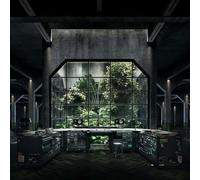 Bok Bok-Your Charizmatic Self