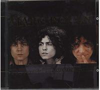 Bolan,Marc - Acoustic Warrior