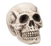 Boland 71988 - Teschio Bighead, Accessorio per Halloween
