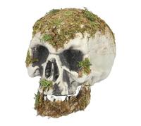 Boland 73099 - Skull Swamp, decorazione per Halloween e carnevale, teschio, scheletro