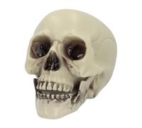Boland 74340 - Teschio Whisperbone, 15 x 20 x 16 cm, decorazione per Halloween e Carnevale, scheletro