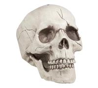 Boland - Decorazione Teschio Jawbone, Mascella Mobile