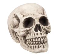 Boland: Pc. Skull Bighead (23 X 22 X 31 Cm) H -