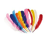 Boland - Piume Indiane Colorate, 12 pezzi