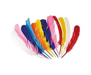 Boland - Piume Indiane Colorate, 12 pezzi