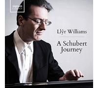 Bolcom/ Williams - Schubert Journey