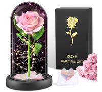 BOLEi Rosa Eterna Regalo Donna, LED Rosa Stabilizzata(Rosa Rosa)