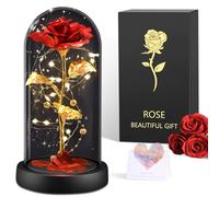 BOLEi Rosa Regalo Per Donne, Rosa Eterna In Vetro, Regalo Per Mamma, Regalo Di San Valentino Per Lei, Regalo Di Natale Per Donne, Regalo Per Sorelle, Mamma, Nonna (Classico Rosso e Rosa Dorato)
