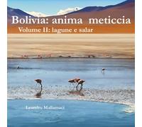 Bolivia: anima meticcia: Volume II: lagune e salar