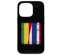 Bolivia Thailandia Mezza bandiera Boliviano Thai Roots Custodia per iPhone 13 Pro
