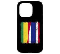 Bolivia Thailandia Mezza bandiera Boliviano Thai Roots Custodia per iPhone 15 Pro