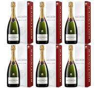 Bollinger - Champagne Spécial Cuvée Brut con astuccio - Confezione da 6 x 75 cl