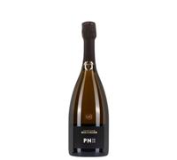 Bollinger PN TX20