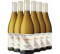 Bollini - Sauvignon Blanc Vigneti delle Dolomiti 2020-91 punti Luca Maroni - Vino Trentino Bianco - IGT - 0.75L (6 Bottiglie)