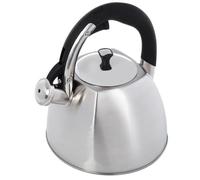 Bollitore acqua in acciacio inossidabile Feel-Maestro 3 L.