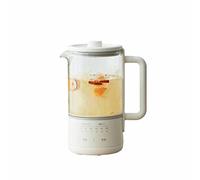 Bollitore elettrico, Multifunzionale HMini Vetro Tè Kettl Macchine for il tè caldo 600ML Bollitore for il controllo della temperatura con filtro Bollire a secco in acciaio inossidabile