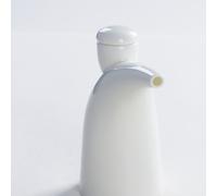 Bollitore per condimenti in ceramica Bottiglia per conservare la salsa di soia