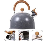 Bollitore Per Il Tè Con Fischio Bollitori in Acciaio Inossidabile