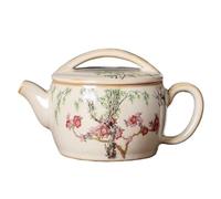 Bollitore per il tè Set da tè cinese Kung Fu in ceramica for uso domestico creativo, teiera e birraio Teiera con Infusore