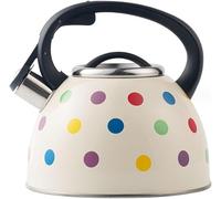 Bollitore per Piano Cottura A Gas, Bollitore per Fischio in Acciaio Inossidabile, Bollitore per Acqua Portatile, Brocca per Acqua in Acciaio Inossidabile, Bollitore da Campeggio, Fornel, A, 2.5L