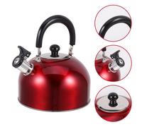 Bollitore Piccolo Teiera Per Il Tè in Acciaio Inossidabile Caffè