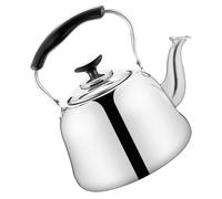 Bollitore The Colino Da Te Pentola Acciaio Inossidabile Metallico