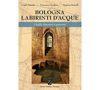 Bologna labirinti d'acque. Guida, itinerari e percorsi. Ediz. economica