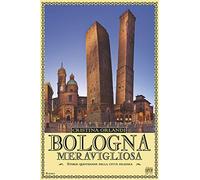 Bologna meravigliosa. Storie quotidiane della città felsinea