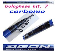 BOLOGNESE M. 7 MT. CARBONIO CANNA PESCA PASSATA FIUME MARE GALLEGGIANTE SPIGOLA