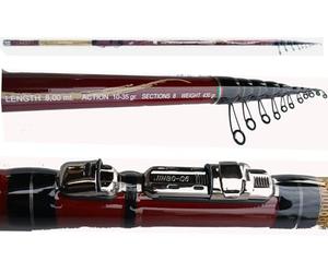 Bolognese Metri 8 Canna Da Pesca Mare Lago Carpa Spigola Carbonio