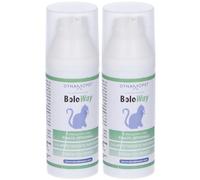 Boloway Pet Alimento Complementare Gatti 2x65 g