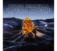 bolsa amarilla y piedra po