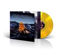 bolsa amarilla y piedra po