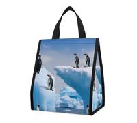 Bolsa térmica reutilizable para el almuerzo, 9 l, a prueba de fugas, con diseño de pingüinos en el iceberg y bolsillos interiores para mujeres y hombres, bolsas portátiles para refrigerios, bolsas t